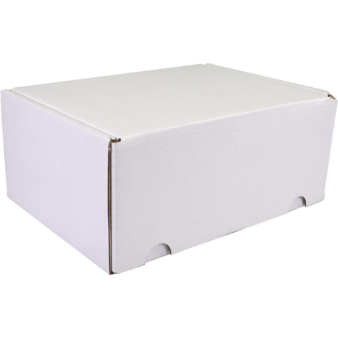 SendProof® Postpakketdoos, golfkarton, 210x160x95mm, gestanst, wit