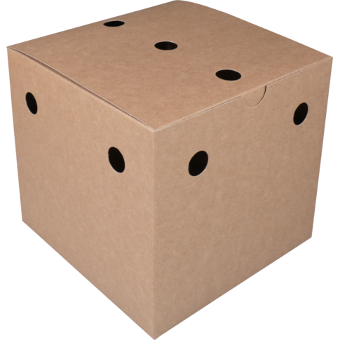 Bak, Karton, fritesbox, 150x150x140mm, bruin