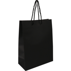 Tas, Papier, met koord, 22x 10x29cm, draagtas, zwart