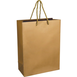 Tas, Papier, met koord, 22x 10x29cm, draagtas, goud/wit